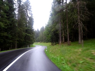 Route mouillée, sapins mouillés, photo mouillée, cycliste … 