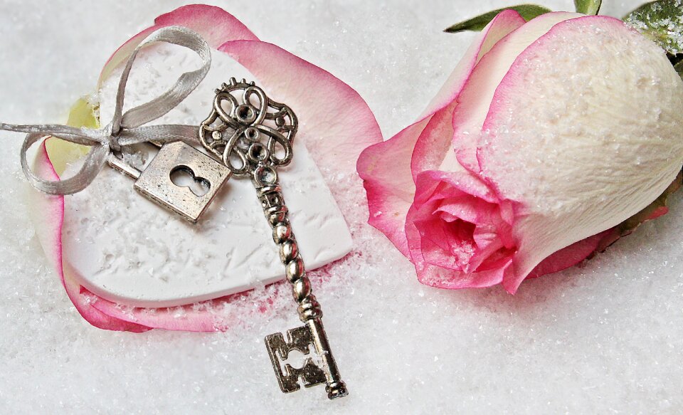 Herzchen love romance