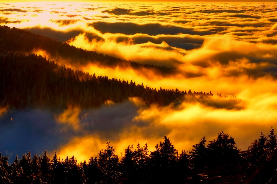 Silhouettes sunrise dawn