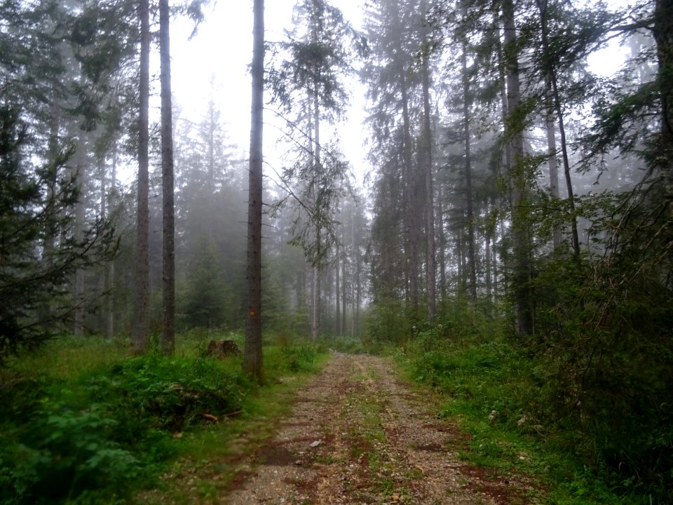 Début de la traversée à pied entre la route du Col de l'Ai… 