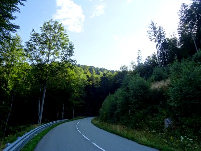 Courbe dans la descente du Ballon d'Alsace, Forêt Domanial… 