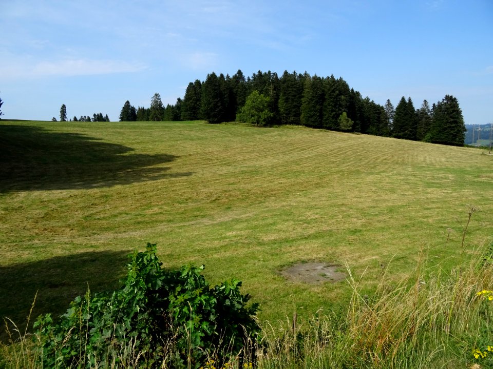 DSC08631 