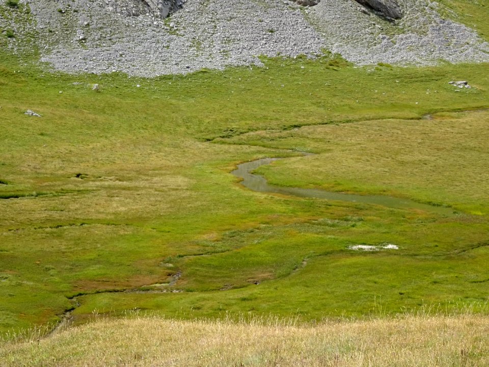 Ravin des Neyzets, zone humide, marécageuse, sous le Col d… 