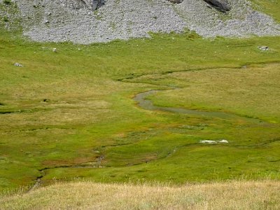 Ravin des Neyzets, zone humide, marécageuse, sous le Col d… 