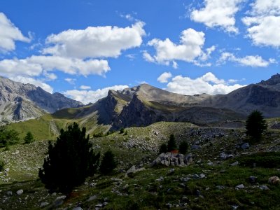 DSC09598 