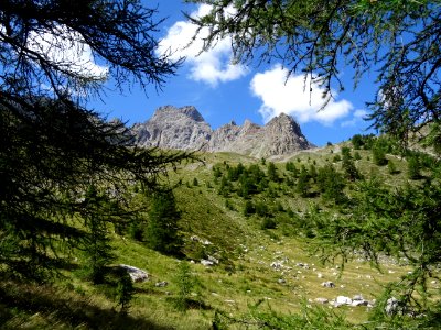 DSC09549 