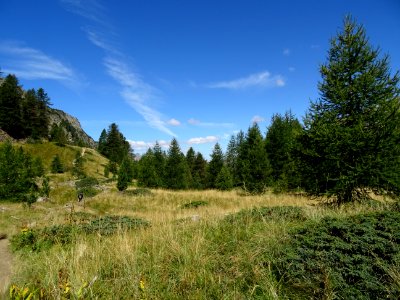 Le sentier dans sa partie plate 