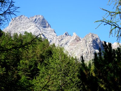 DSC09448 