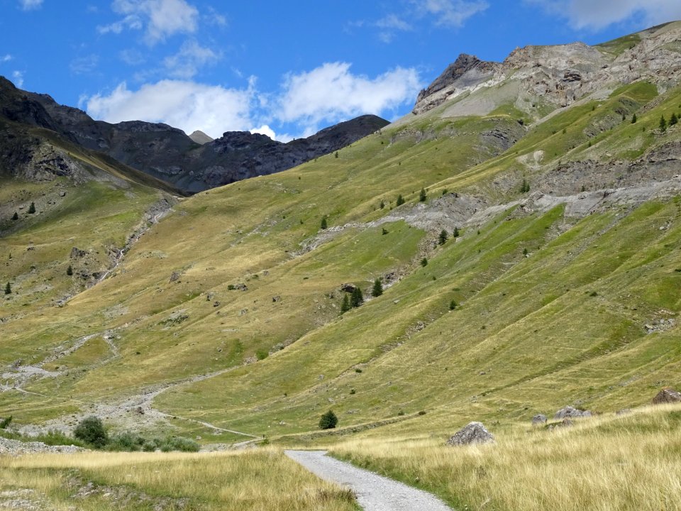 Vallon de Chambran, vue vers la Cucumelle, montée vers le … 