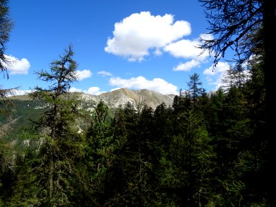 DSC09685 