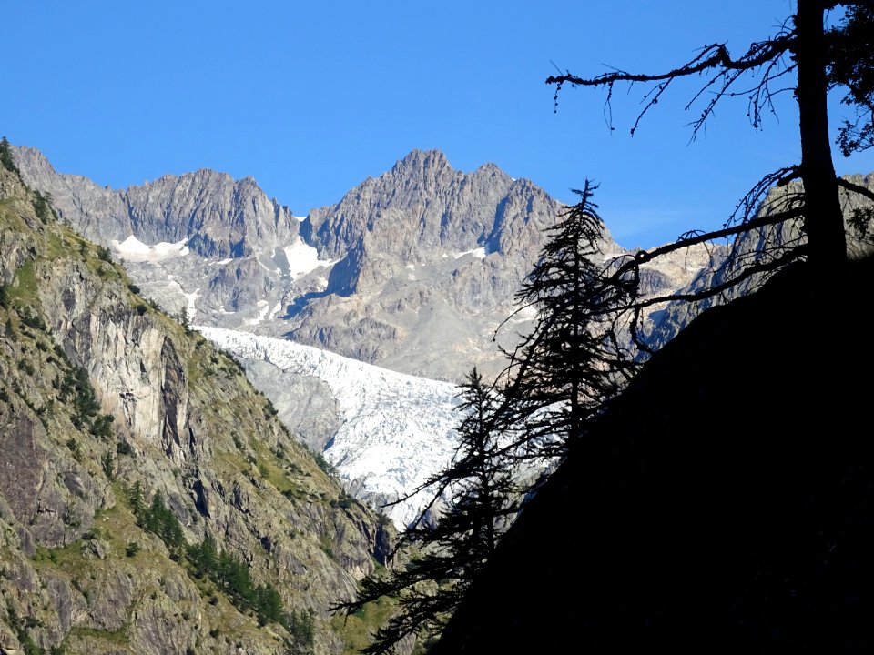 Le Pic de Neige Cordier et le Glacier Blanc 