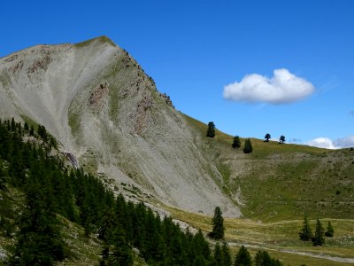 La Tête de Coste Belle et des mélèzes joueurs ! 