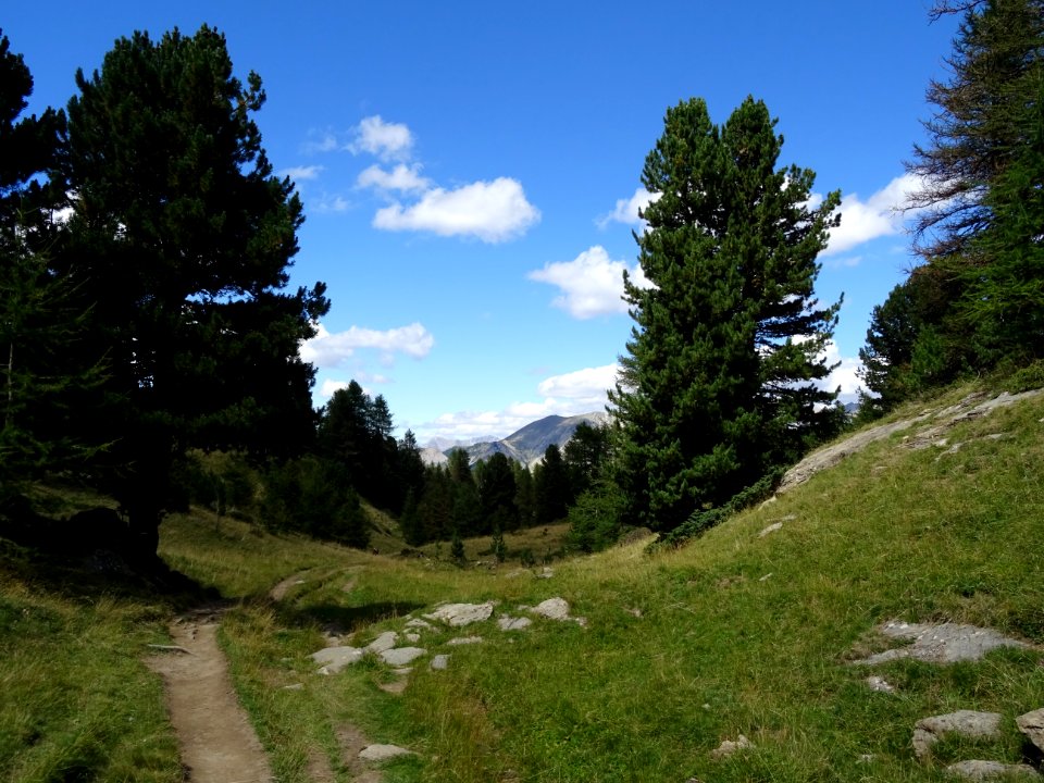 Sentier sous le Lac Miroir 