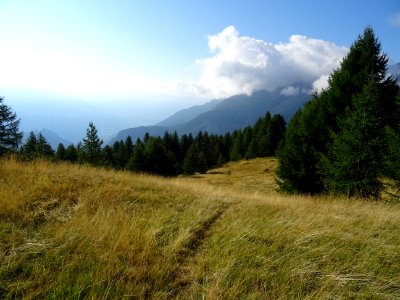 Chaume et mélèzes en montant à la Tête des Raisins 