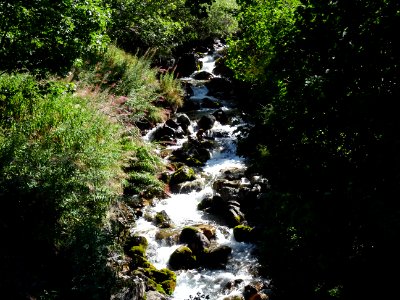 DSC00576 