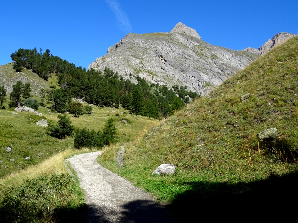 En montant vers l'Alpe du Lauzet 