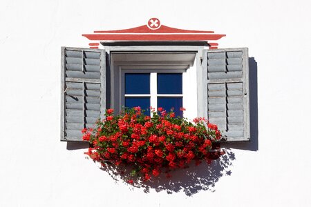 House plant facade photo
