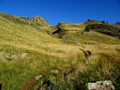 Le sentier monte doucement et serpente entre les petits to… 