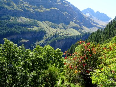Vallon du Torrent des Oules, au fond , est-ce le Pic de Ro… 