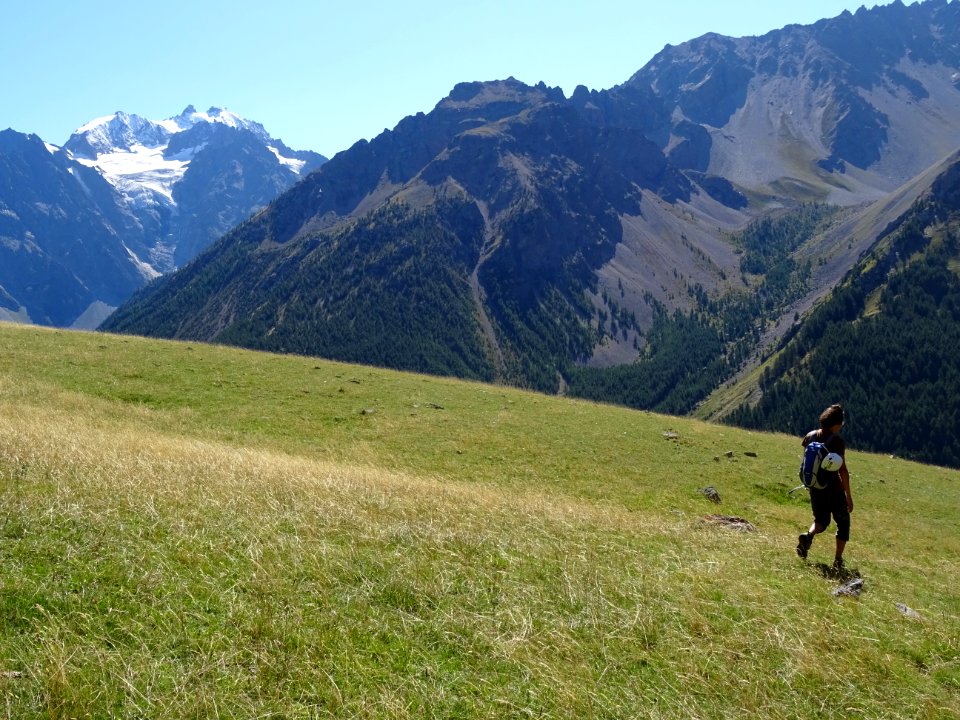 La Montagne des Agneaux et une dernière prairie alpine à d… 