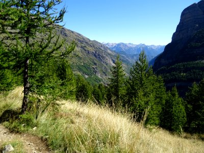 Dans la descente vers Dormillouse 