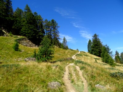 Le sentier monte vers le Lac Ste-Anne 