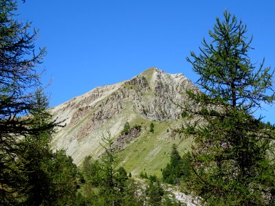 Tête de Coste Belle 