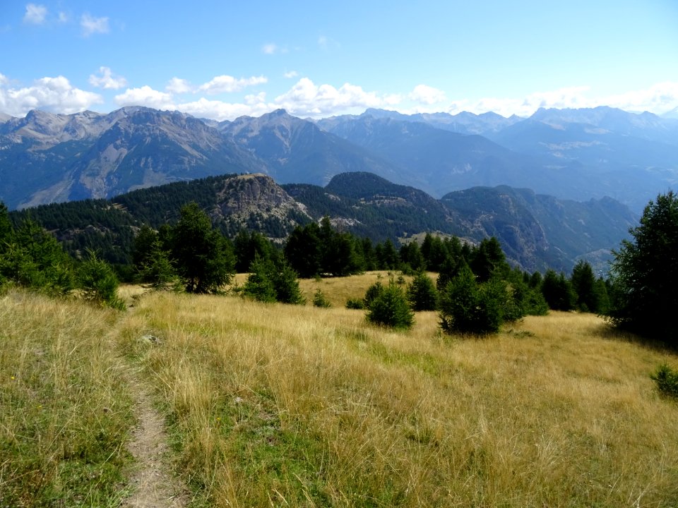 Descente dans les chaumes, en allant vers le col d'Anon 
