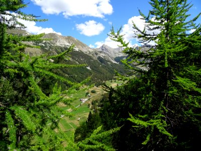Haute vallée de Ceillac, massif du Queyras, Hautes-Alpes 