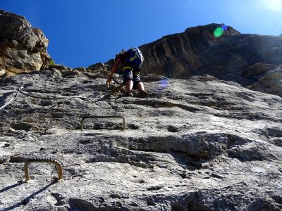 Les barreaux sont disposés à la verticale 