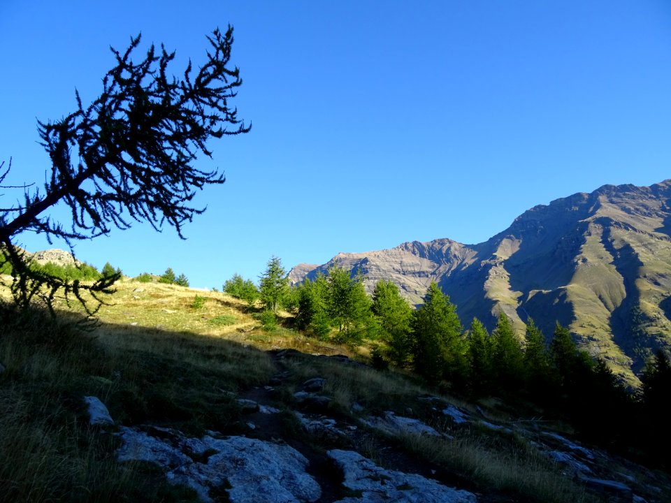 Encore 20 mètres et je serai au soleil 