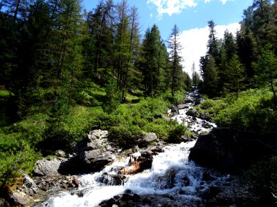 Ruisseau de la Pisse 