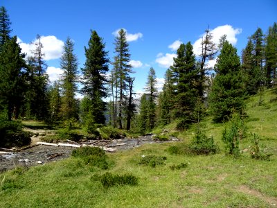 Ruisseau de la Pisse, sous le lac Miroir 