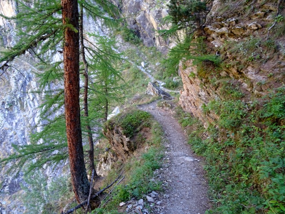 Sentier en balcon, en montant à la Tête de la Draye 