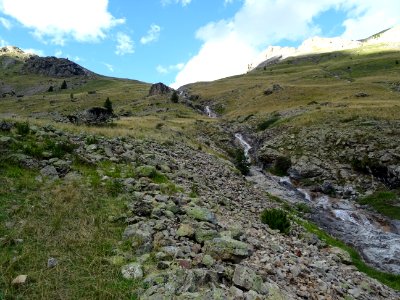 Torrent dans le vallon de Chambran 