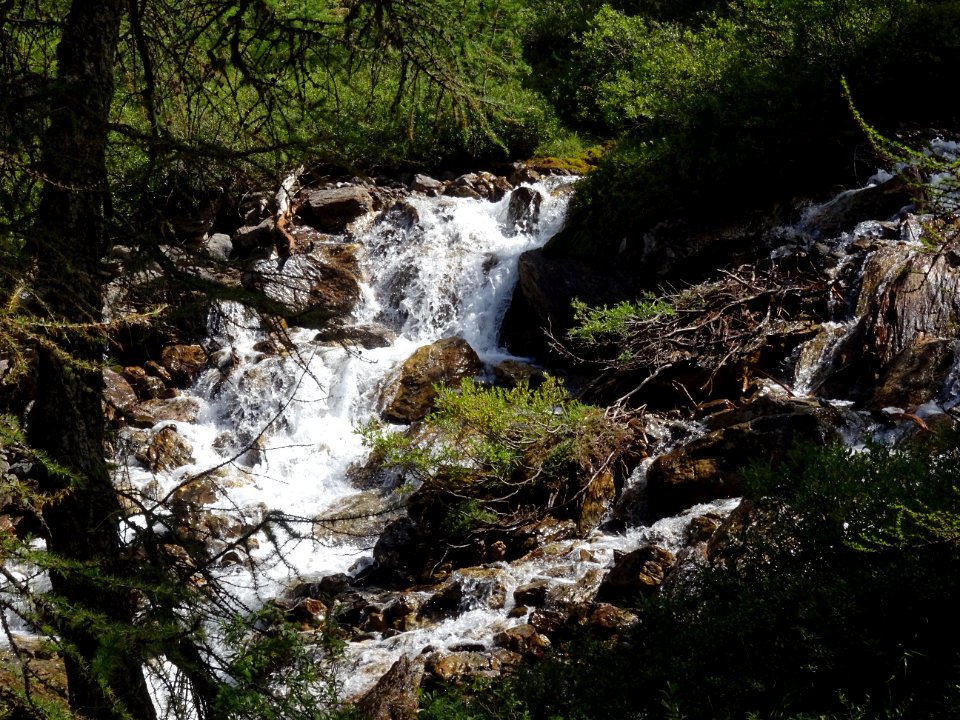Ruisseau de la Pisse 