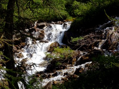 Ruisseau de la Pisse 