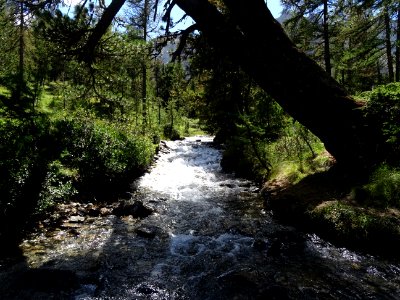 Ruisseau de la Pisse, au dessus du Pied du Mélezet 