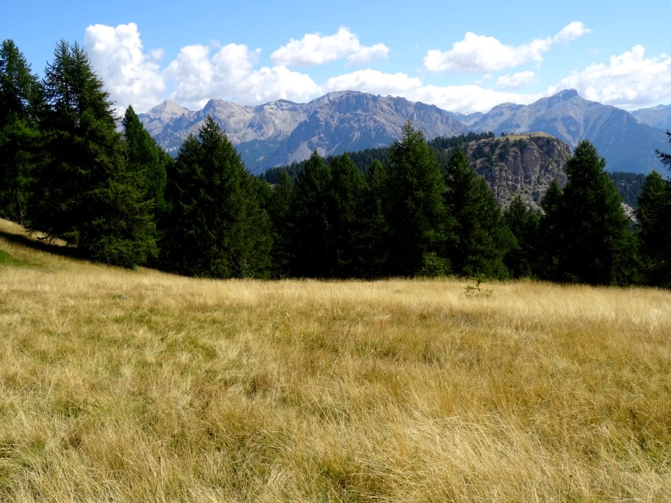 Pic de Peyre-Eyraute, Pic du Haut Mauriare 