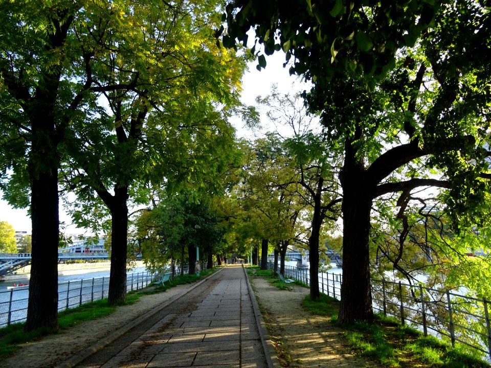 Allée des Cygnes sur l'île aux Cygnes, entre le Pont de Gr… 
