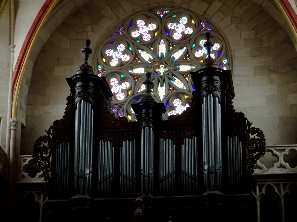 Orgue et rosace, Cathédrale Saint-Vincent, Chalon-sur-Saôn… 
