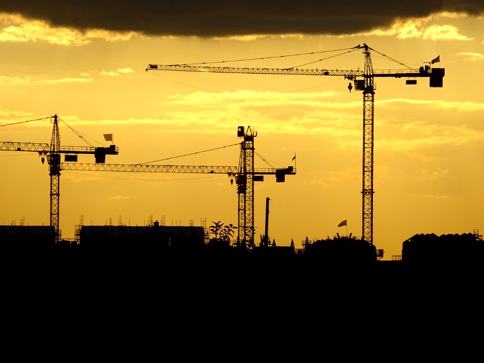 Trois grues dans le soleil couchant, vers Chelles, Seine-e… 