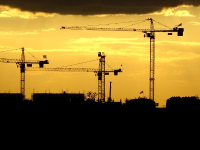 Trois grues dans le soleil couchant, vers Chelles, Seine-e… 