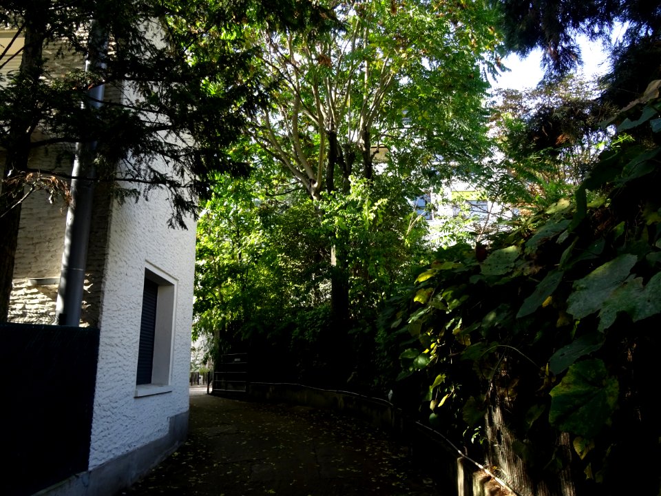 Résidences arborées au bout de la rue Rue Mallet-Stevens, … 