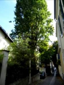 Tout au bout de la rue Pierre Guérin, 16e arr., Paris 