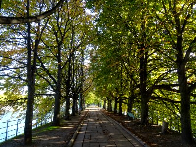 Allée des Cygnes sur l'île aux Cygnes, entre le Pont de Gr… 