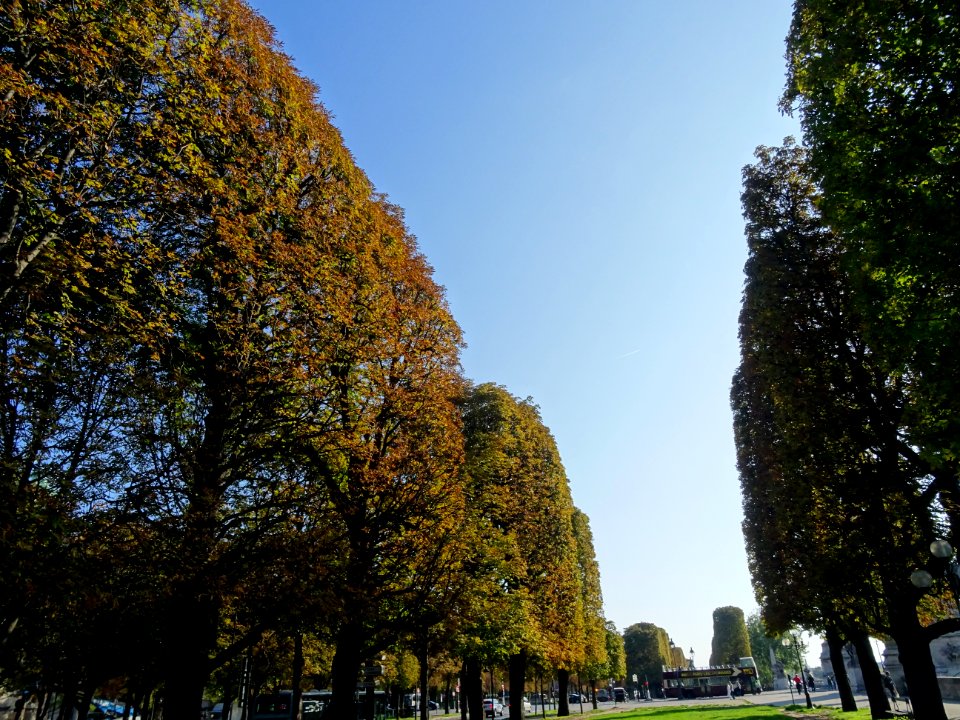 Cours La reine, entre le Grand Palais et la Seine, 8e arr.… 