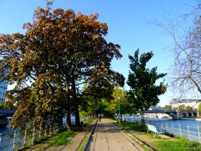 Allée des Cygnes sur l'île aux Cygnes, entre le Pont de Gr… 