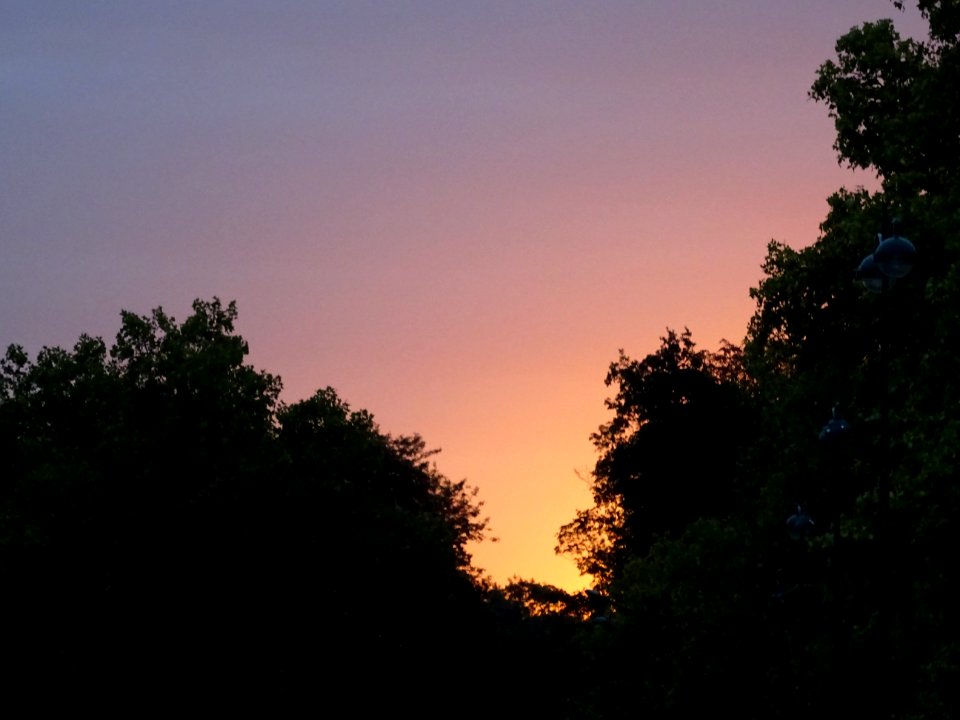 Lueur du soleil levant au-dessus du Bois de Vincennes 