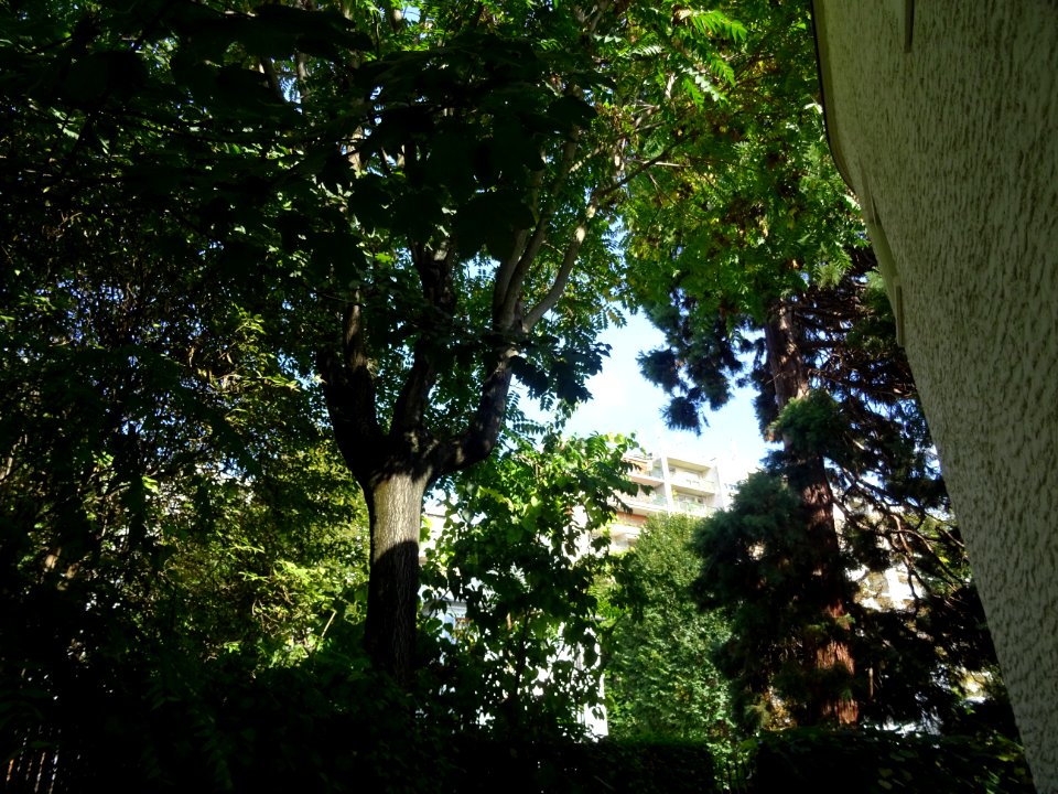 Résidences arborées au bout de la rue Rue Mallet-Stevens, … 